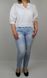 Джинси Dishe Jeans Блакитний колір (DJ9187102-33) 1 з 4