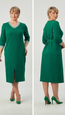 Сукня Ella Зелений колір (EL3208Gn-44)