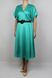 Сукня Setre Зелений колір (10D2CEL0175-XL) 1 з 3